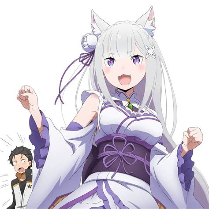 Discovering the Voices: Your Maplestar High School DxD Animation Actress List